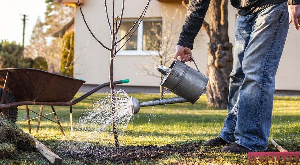 Does Watering Needs Change during Autumn?